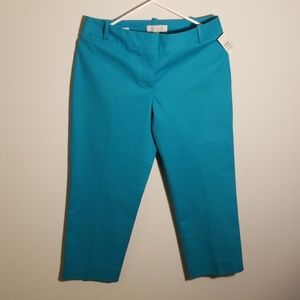 Talbots signature 6p